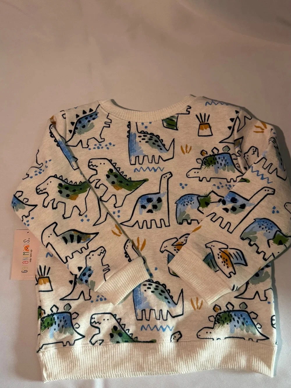 Kids White Dinosaur Print Sweatshirt - Multicolor